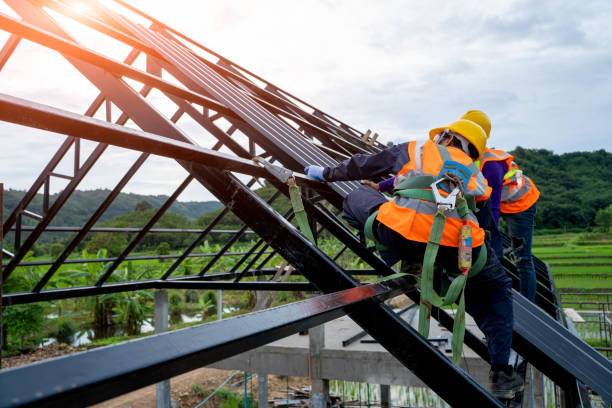 Best Roof Gutter Cleaning  in Nebo, NC