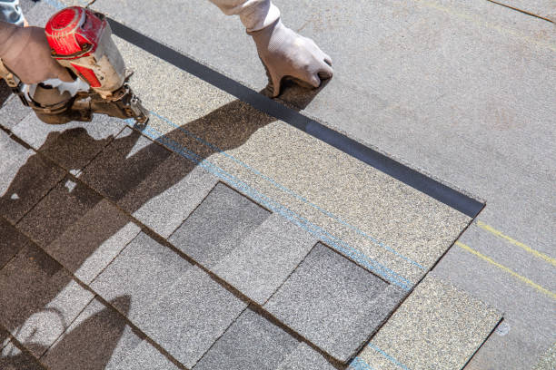 Best Roof Repair Services  in Nebo, NC